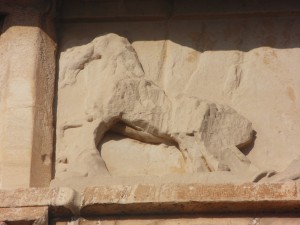 acropolis 5                                         